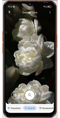 Blackview Wave 7C