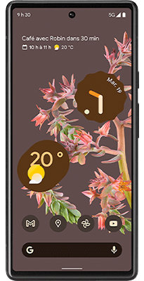 Pixel 6